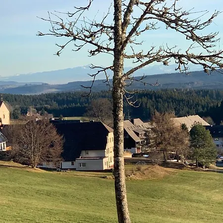 Schwarzwald-Blick Lenzkirch-Saig Apartment Exterior photo