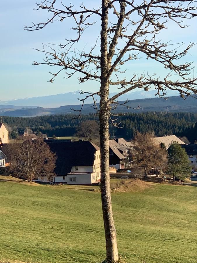 Schwarzwald-blick Lenzkirch-saig