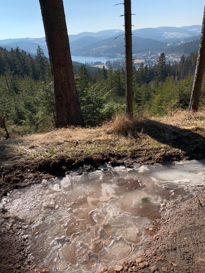 Schwarzwald-blick Lenzkirch-saig Lenzkirch